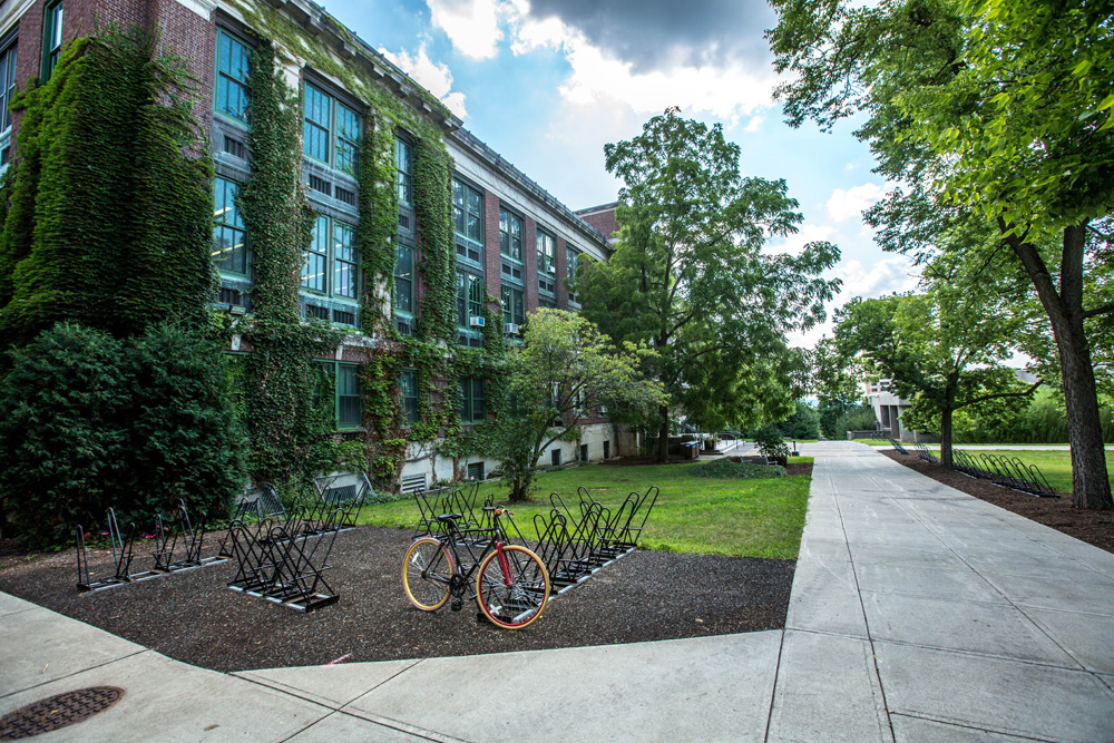 college campus grounds